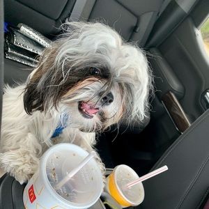 Meet your Posher, Francisca